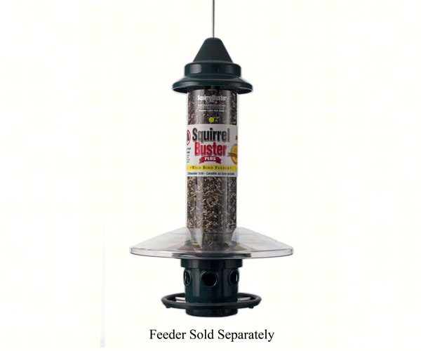Squirrel Buster Plus Weatherguard Front Range Birding Company