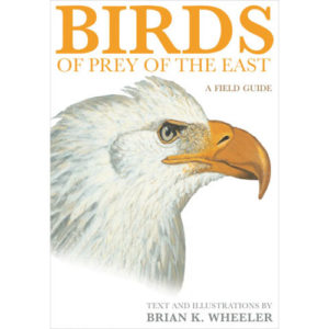 Birds of Prey of the East – A Field Guide
