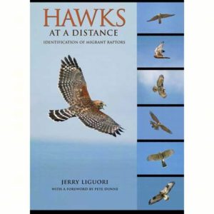 Hawks at a Distance – Identification of Migrant Raptors