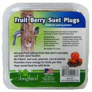 Fruit Berry Suet Plugs