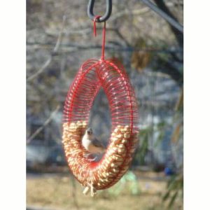 Whole Peanut Wreath- Songbird Essentials