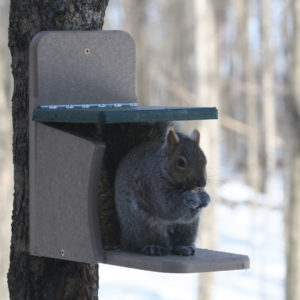 Recycled Squirrel Munch Feeder